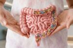 How Gut Health Tracking Can Improve Your Diet and Wellness